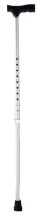 Walking stick