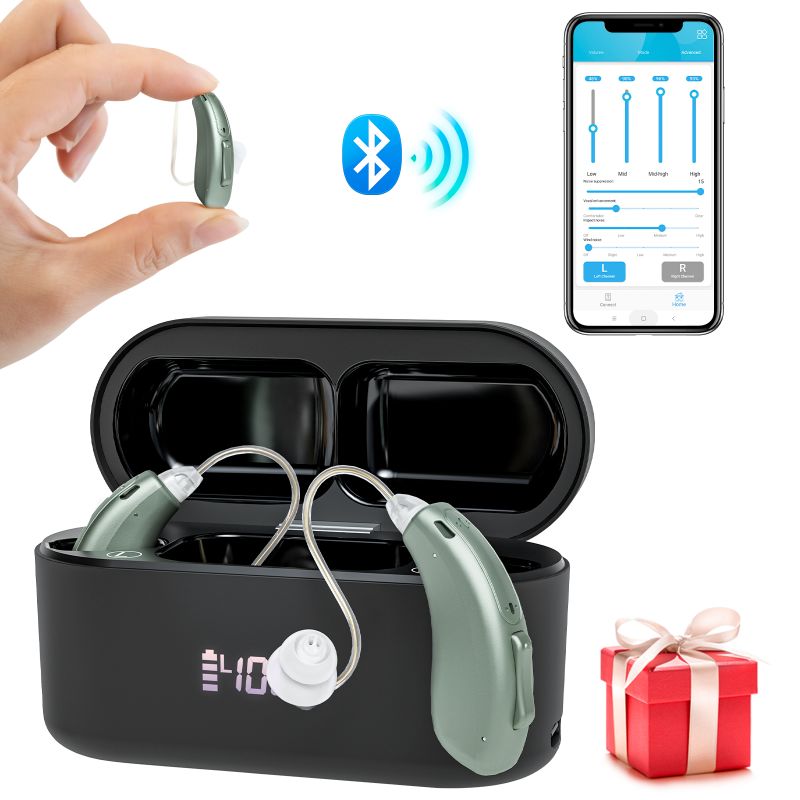 Hearing aid-5118L-