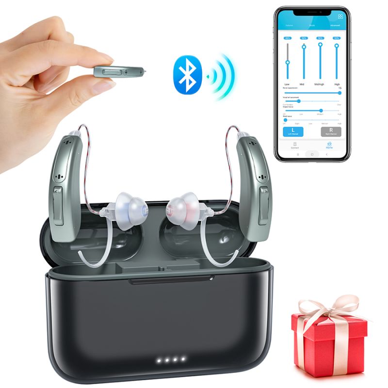 Hearing aid-5216B-