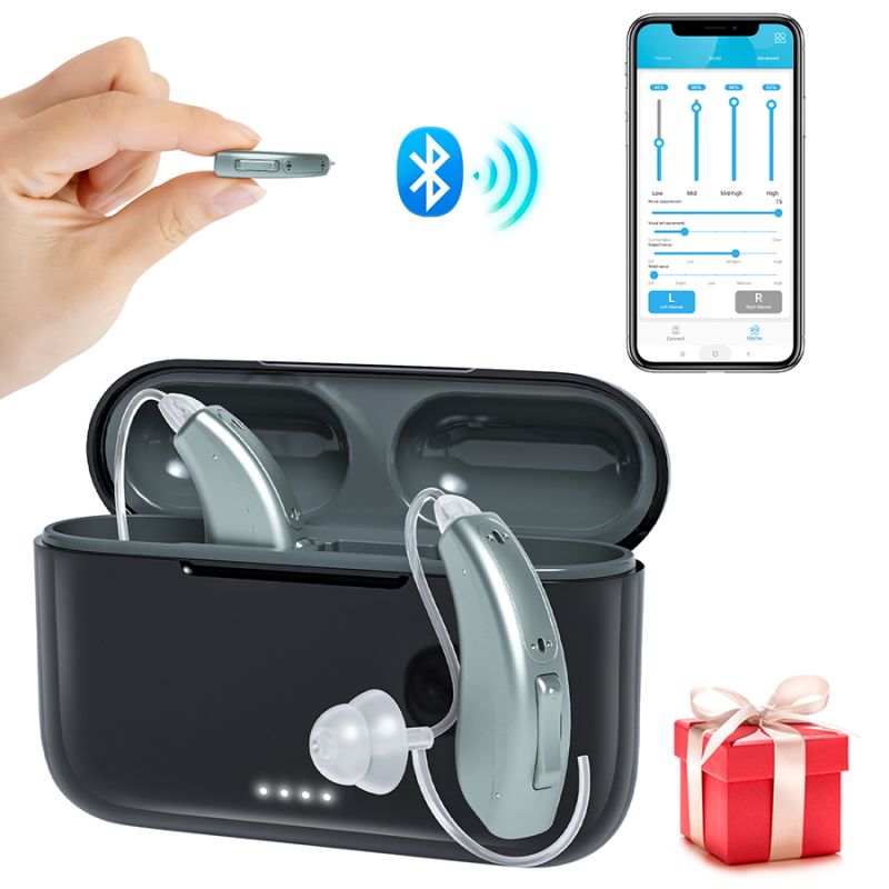 Hearing aid-5116B-