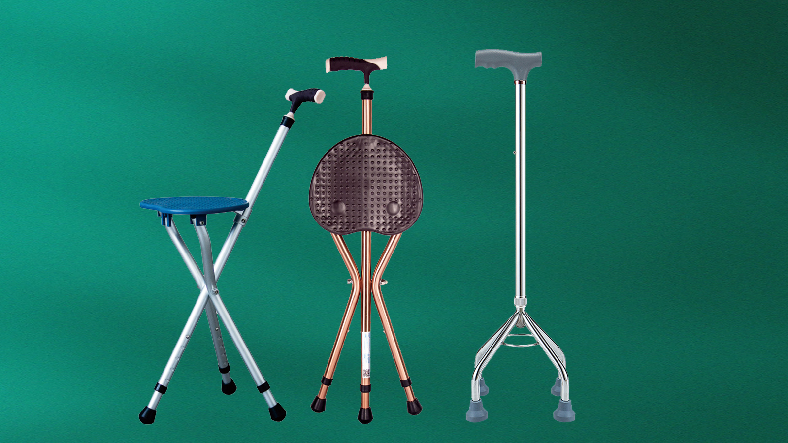 Walking stick