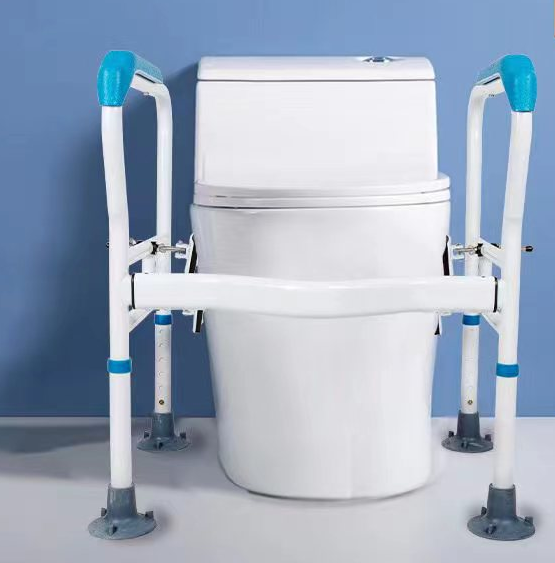 Toilet rail-