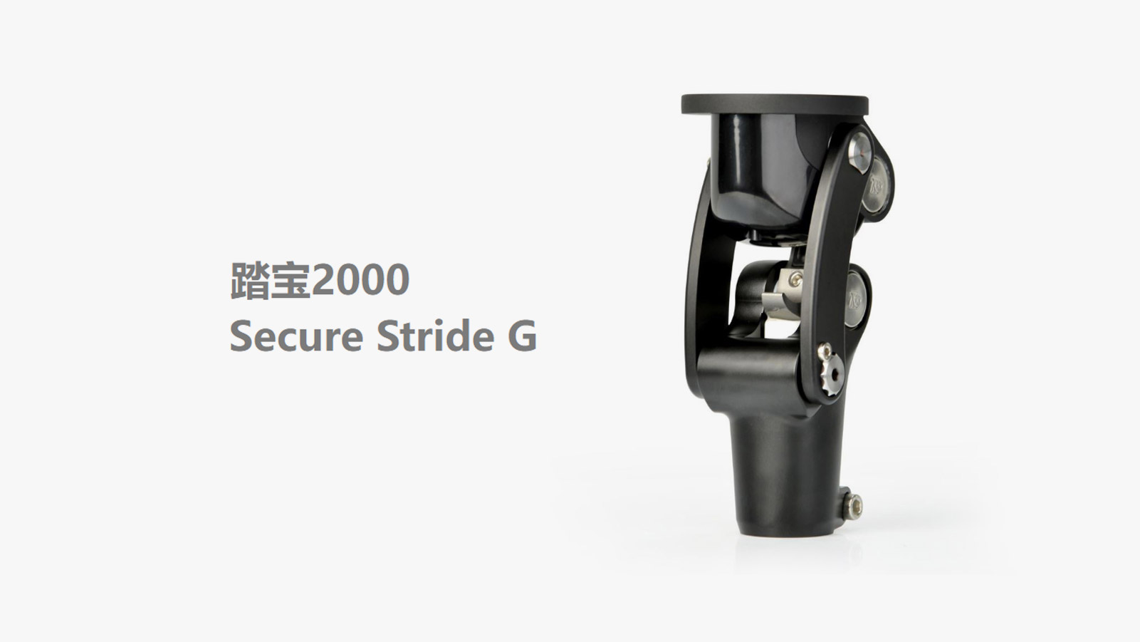 Secure Stride G