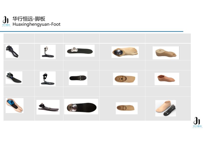 Prosthetic foot-